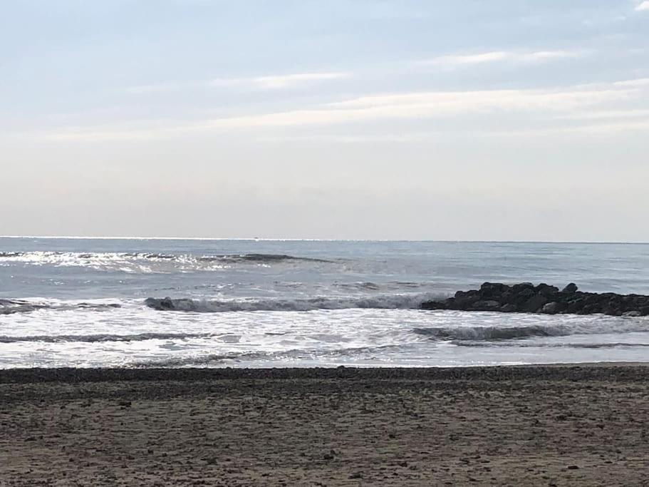 Situation Ideale F2, 2 Eme Ligne,Climatise, Plage Palavas-les-Flots Bagian luar foto